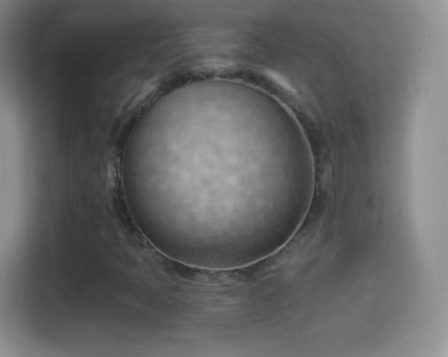 X0000114431397200910231224