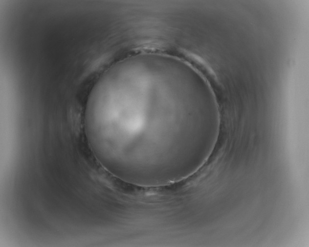 X0000114431399200910231224