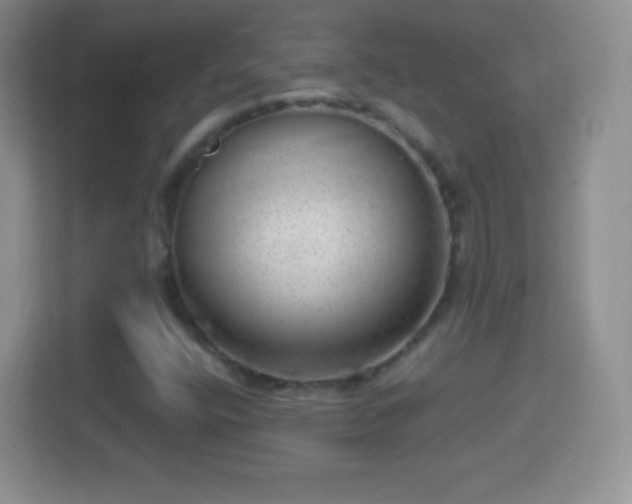 X0000114431400200910231224
