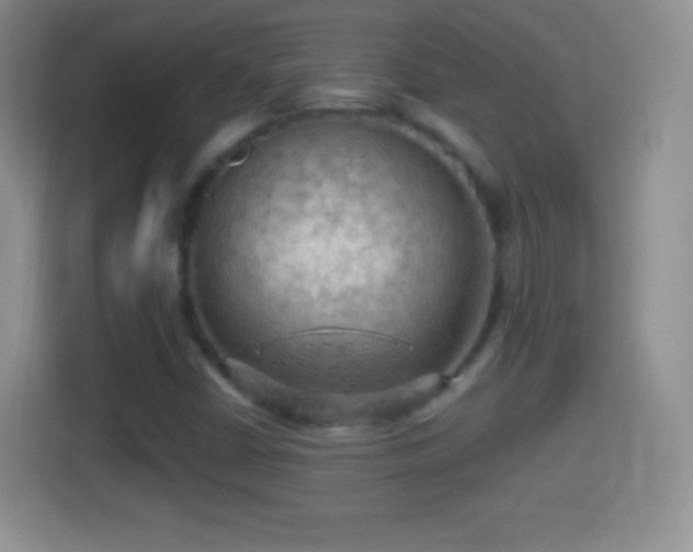 X0000114431402200910231224