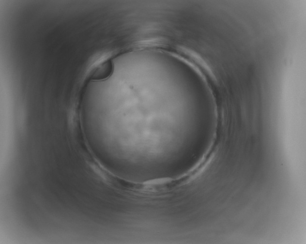 X0000114431405200910231224
