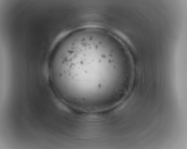 X0000114431408200910231224
