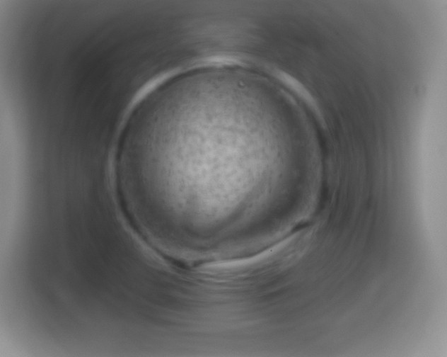 X0000114431412200910231224