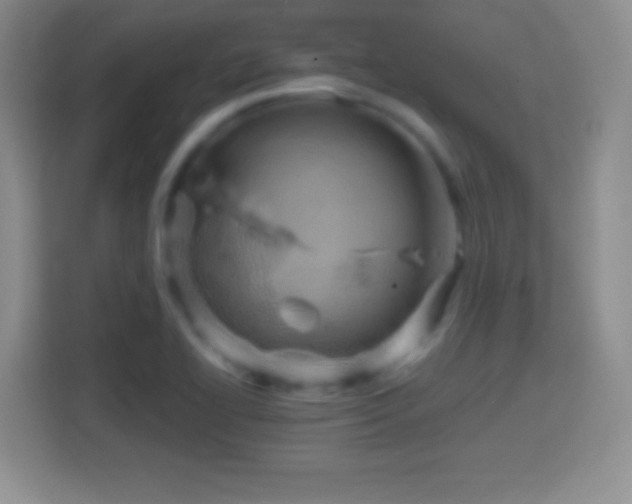 X0000114431414200910231224