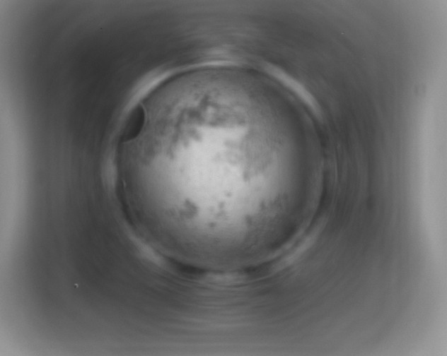 X0000114431415200910231224