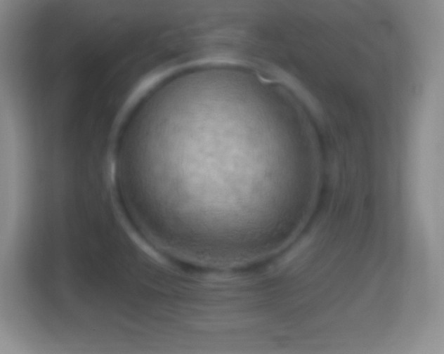 X0000114431416200910231224