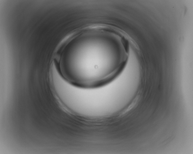 X0000114431417200910231224
