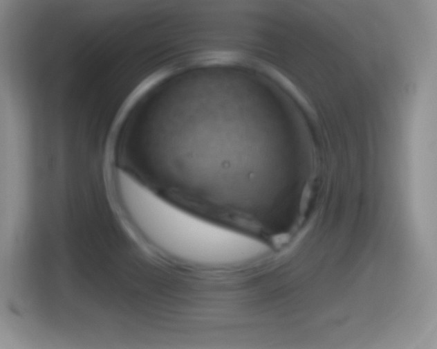X0000114431418200910231224