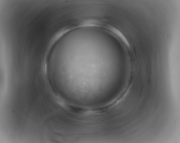 X0000114431419200910231225