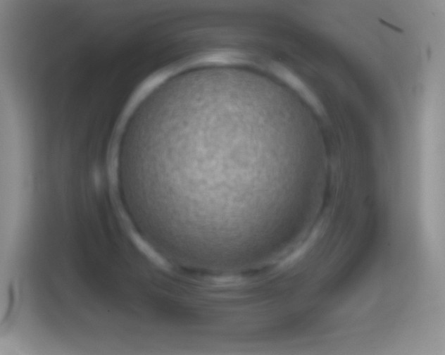 X0000114431421200910231225