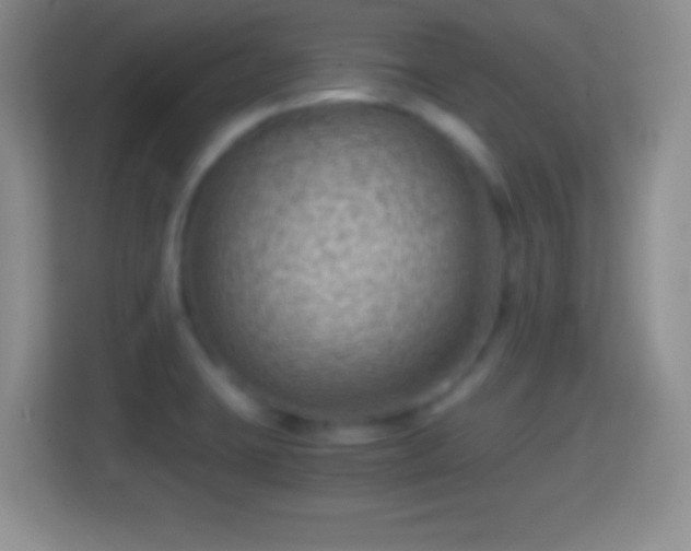 X0000114431423200910231225