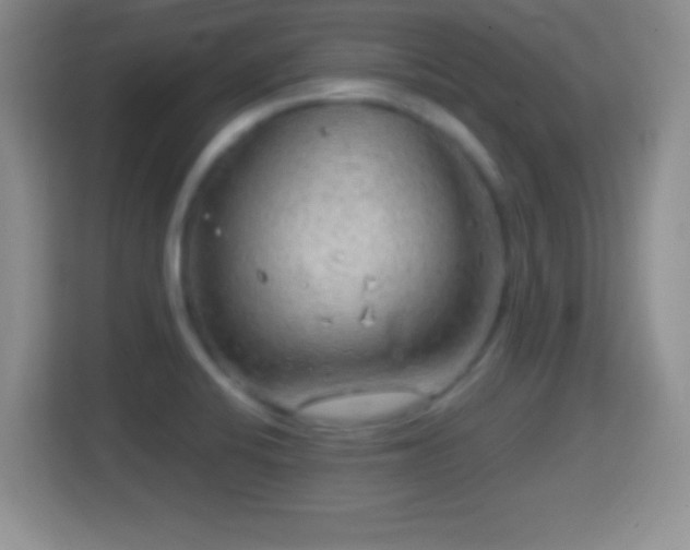 X0000114431424200910231225