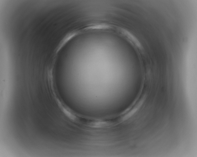 X0000114431425200910231225