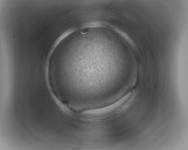 X0000114431426200910231225