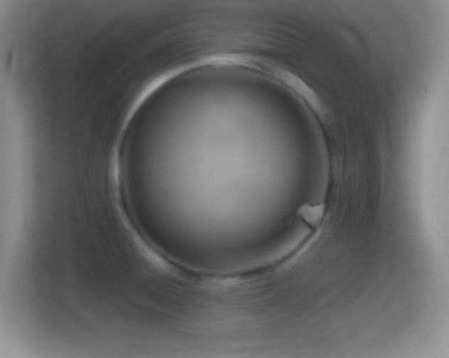 X0000114431428200910231225