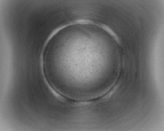 X0000114431430200910231225
