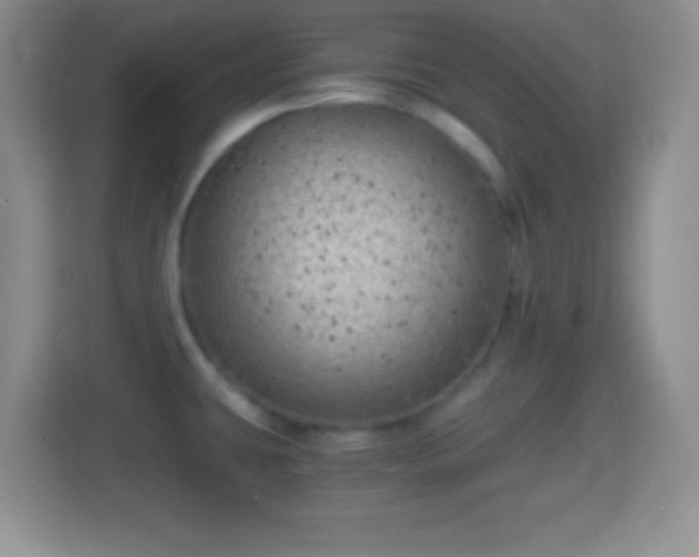 X0000114431431200910231225