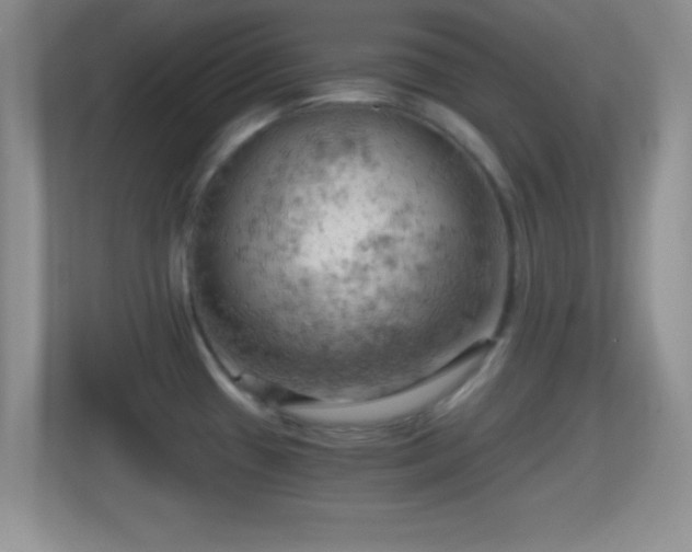 X0000114431433200910231225