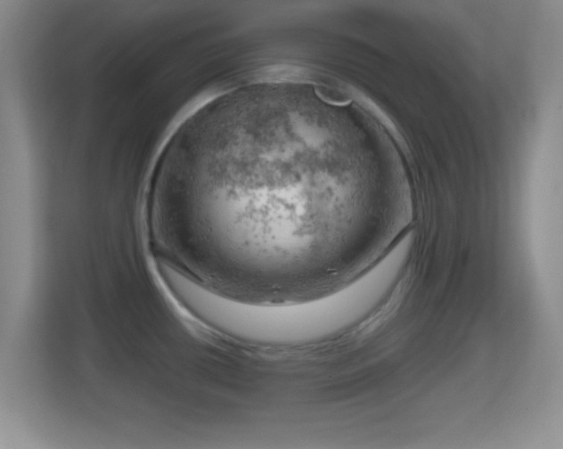 X0000114431434200910231225