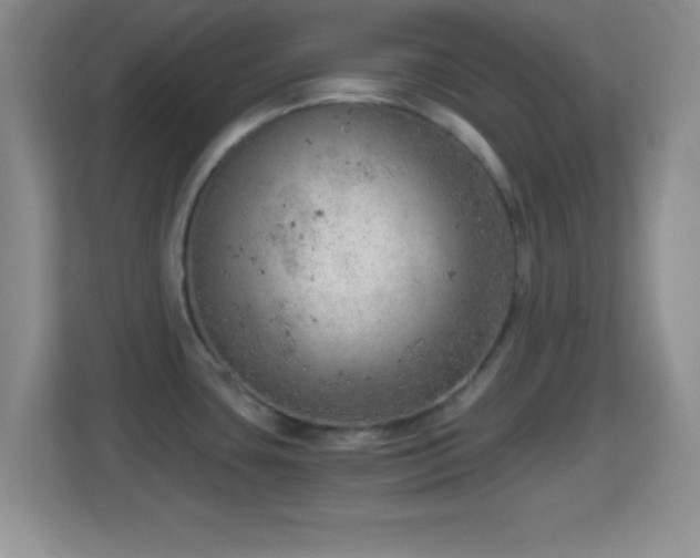 X0000114431435200910231225