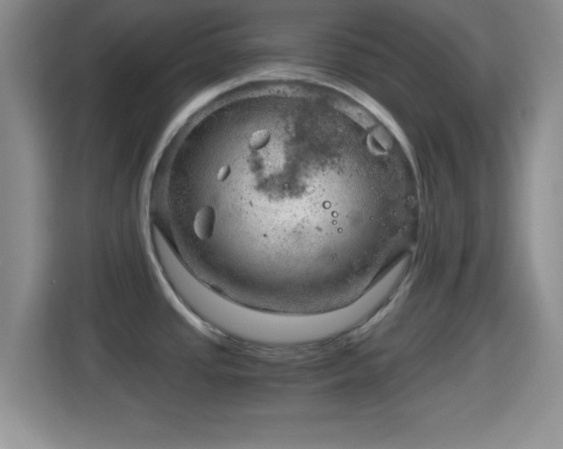 X0000114431437200910231225