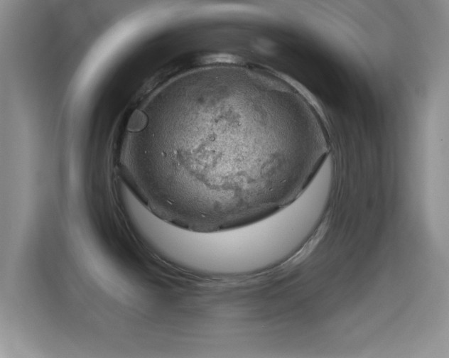 X0000114431438200910231225
