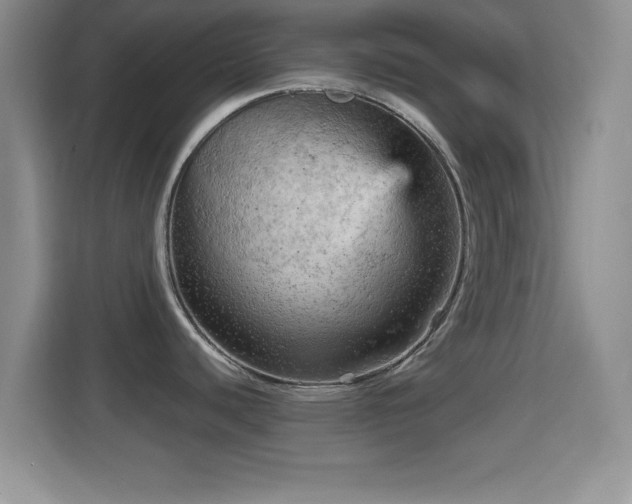 X0000114431440200910231225
