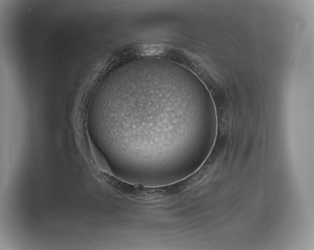 X0000114431441200910231224