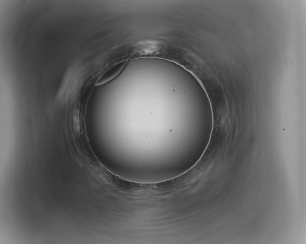 X0000114431442200910231224