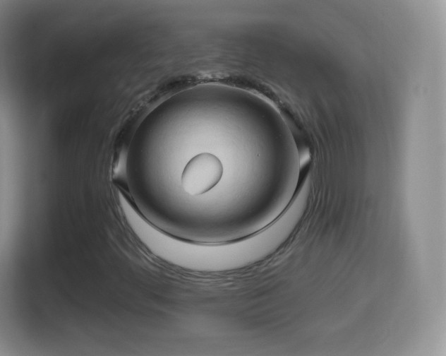 X0000114431444200910231224