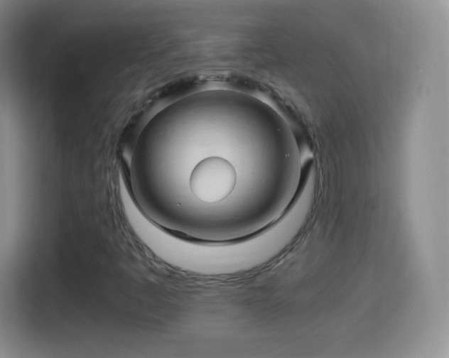 X0000114431445200910231224