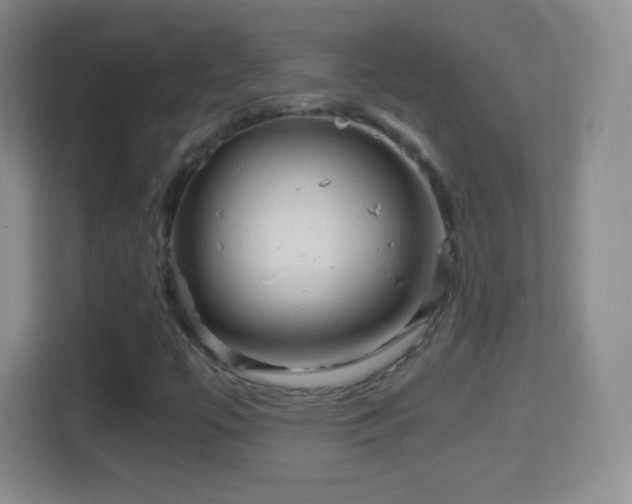 X0000114431447200910231224