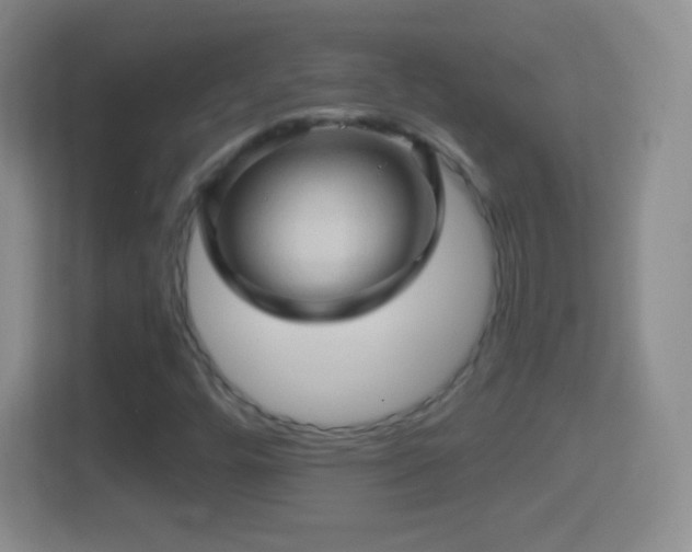 X0000114431448200910231224