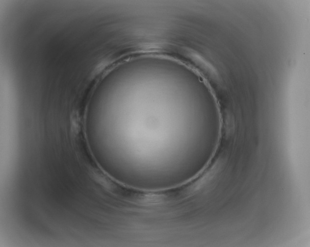 X0000114431449200910231224