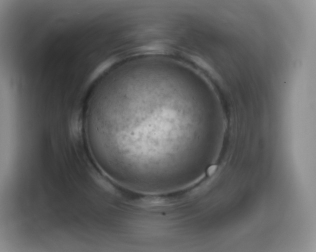 X0000114431450200910231224
