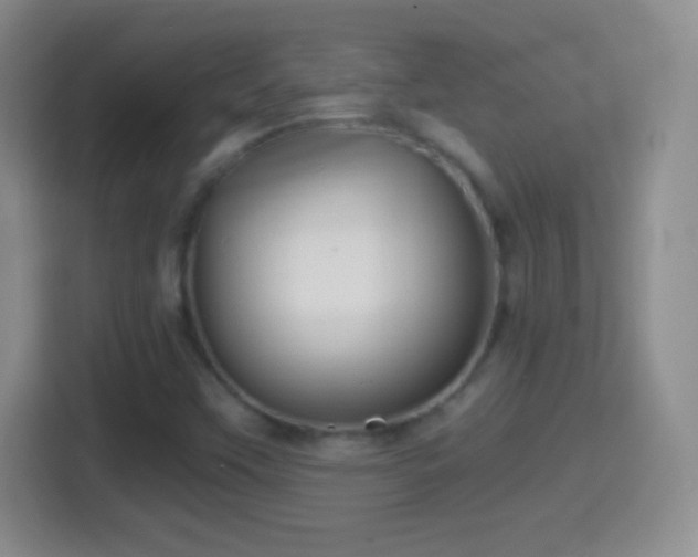 X0000114431451200910231224