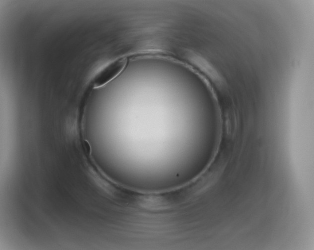 X0000114431452200910231224