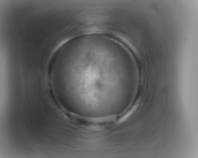 X0000114431453200910231224