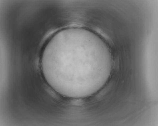 X0000114431454200910231224