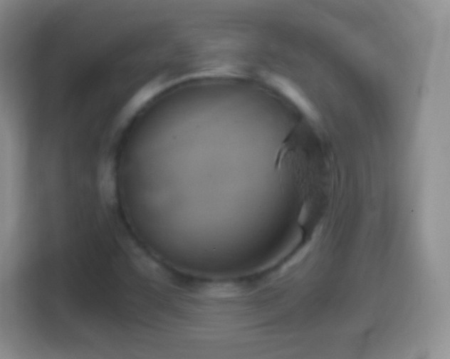 X0000114431455200910231224