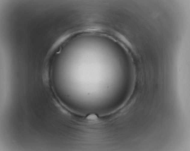 X0000114431456200910231224