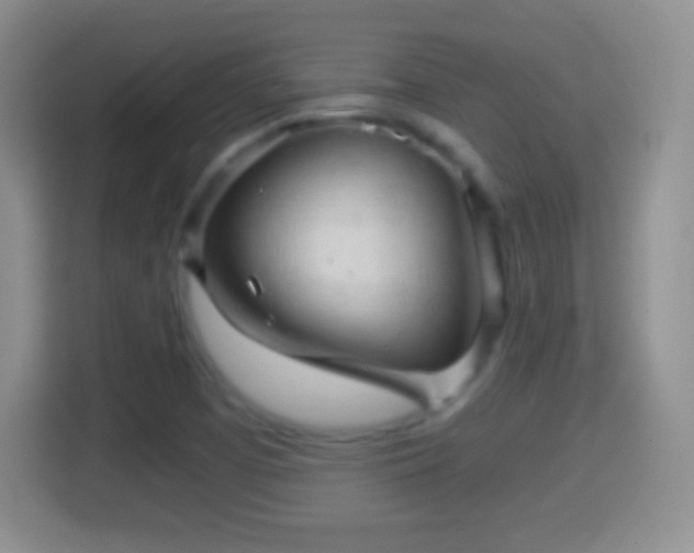 X0000114431457200910231224