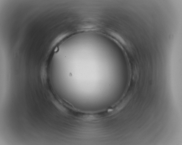 X0000114431458200910231224