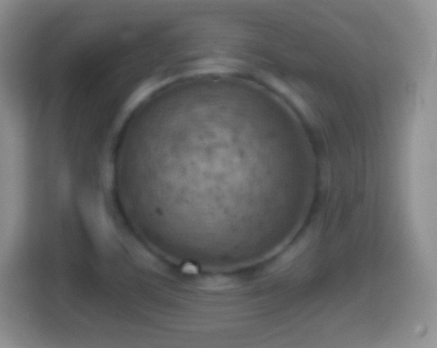 X0000114431459200910231224