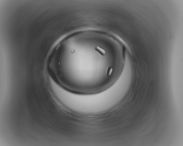 X0000114431460200910231224