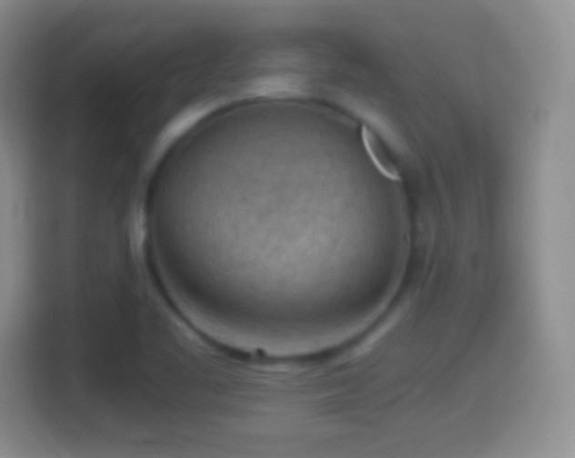 X0000114431461200910231224