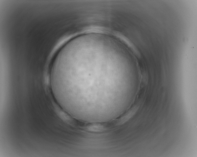 X0000114431462200910231224