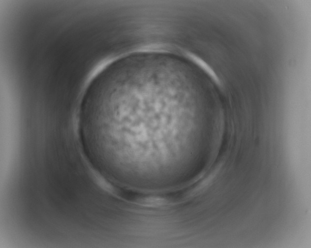 X0000114431463200910231224