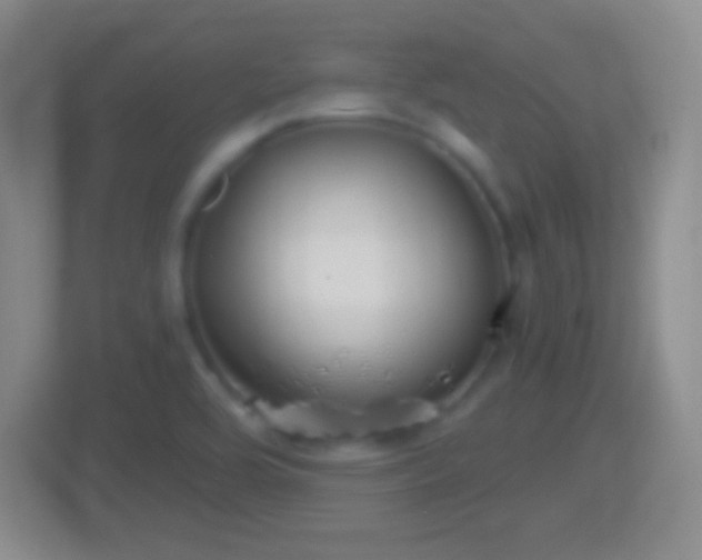 X0000114431464200910231224
