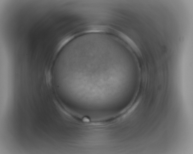 X0000114431465200910231224